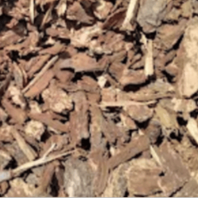 Large Nugget Bark Image