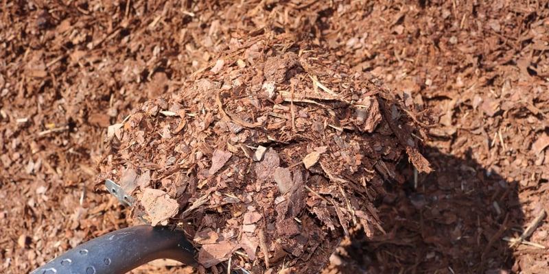 Pine Bark Mulch