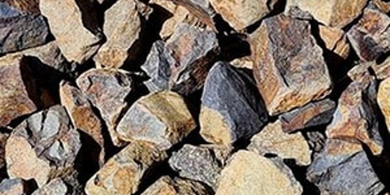 Cocoa | Large