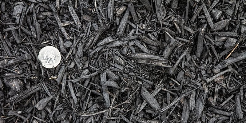 Black Mulch