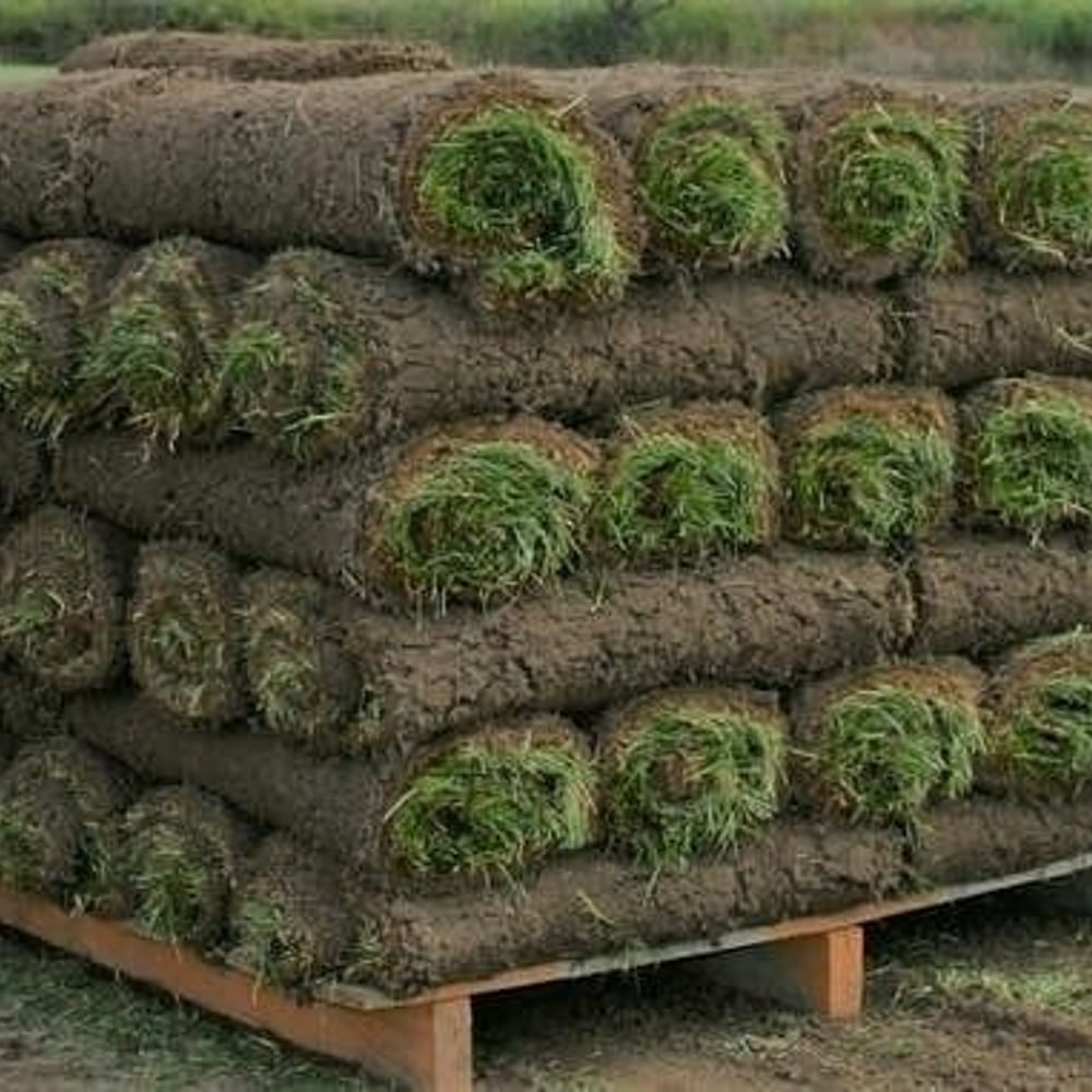 Kentucky Bluegrass Sod (Per Pallet)
