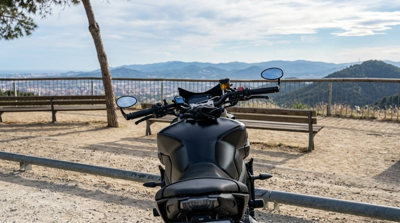 Triumph STREET TRIPLE 675 ABS