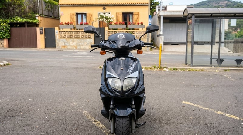 PGO T REX 125