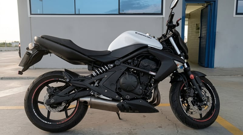 Kawasaki ER-6 N