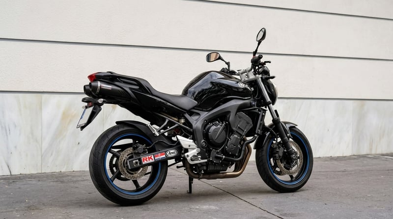 Yamaha FZ 6 N