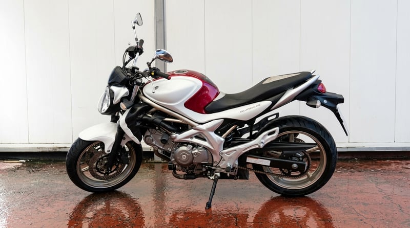 Suzuki GLADIUS 650