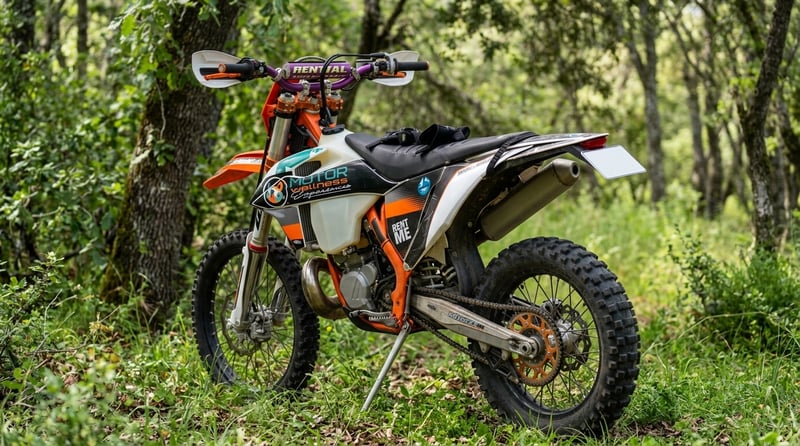 KTM ENDURO 300
