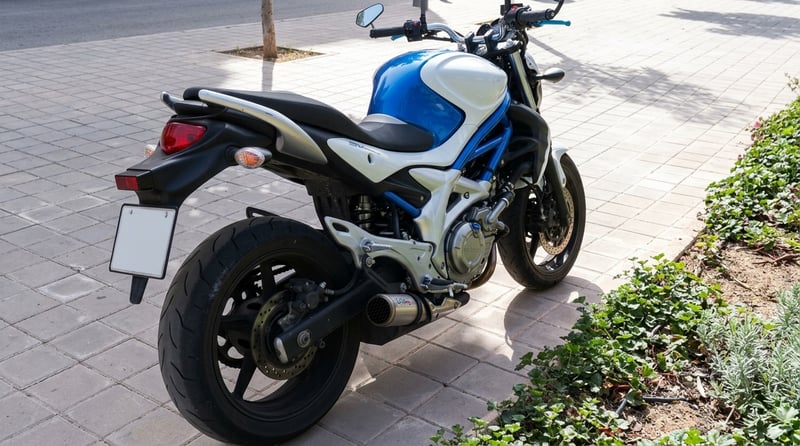 Suzuki GLADIUS 650