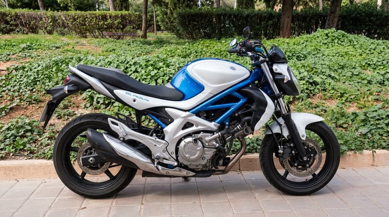 Suzuki GLADIUS 650