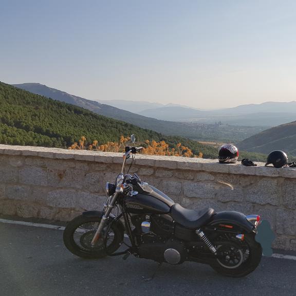 Harley Davidson DYNA STREET BOB FXDBA ABS