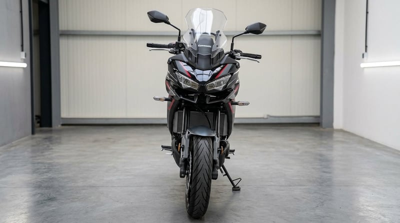 Kawasaki VERSYS 650