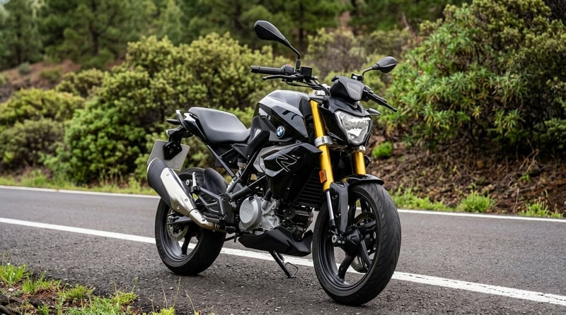 BMW G 310 R