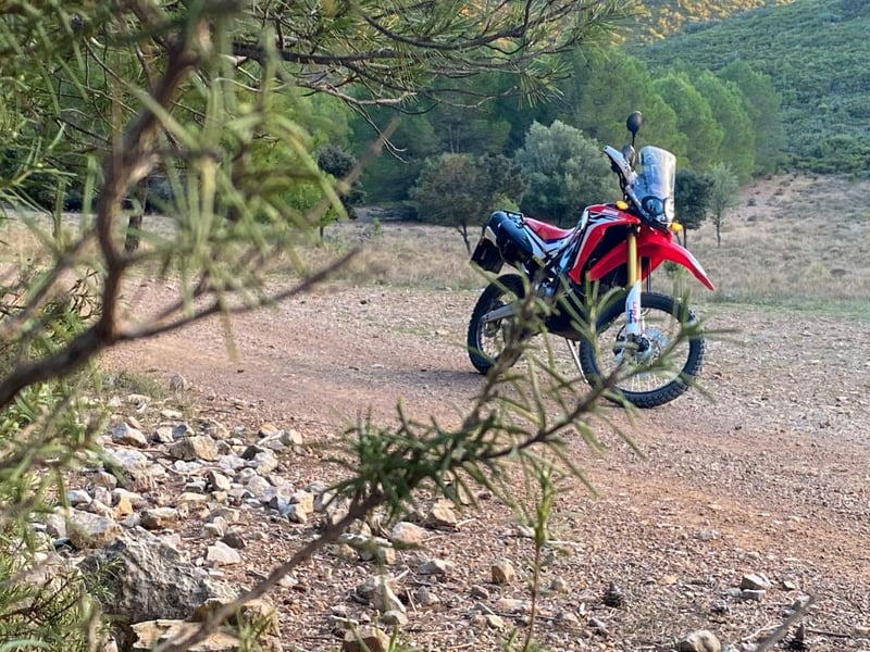 Honda CRF 250 RALLY