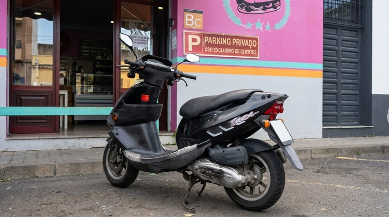 PGO T REX 125