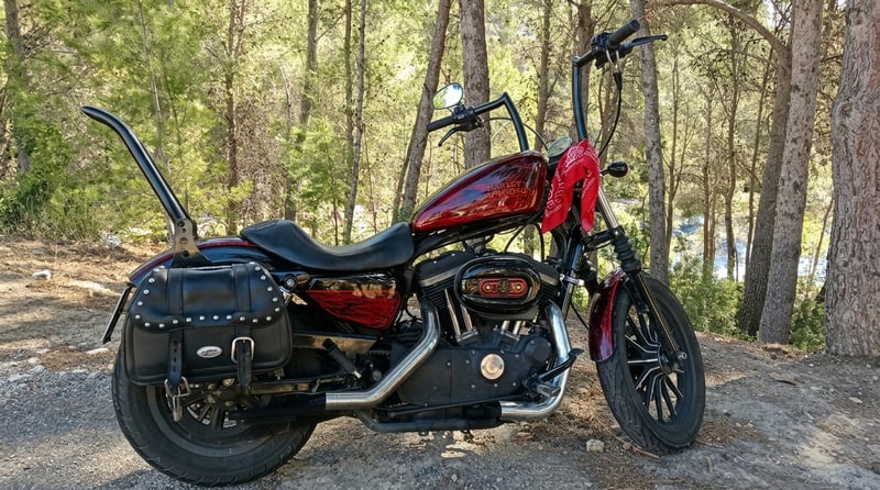 Harley Davidson SPORTSTER XL 883 N IRON 8