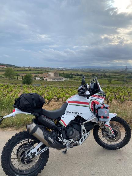 Ducati DESERT X