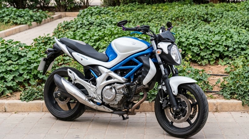 Suzuki GLADIUS 650