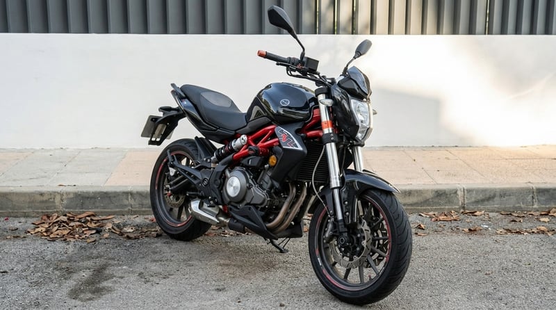 Benelli BN 302
