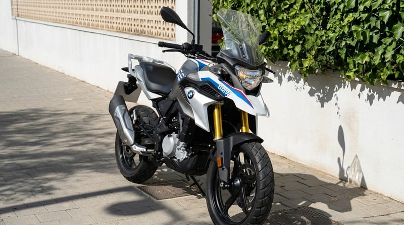 BMW G 310 GS