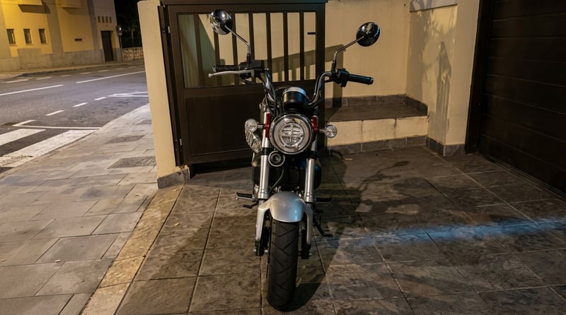 Honda ST 125 DAX