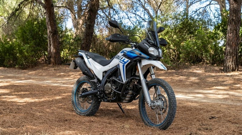 VOGE 300 RALLY