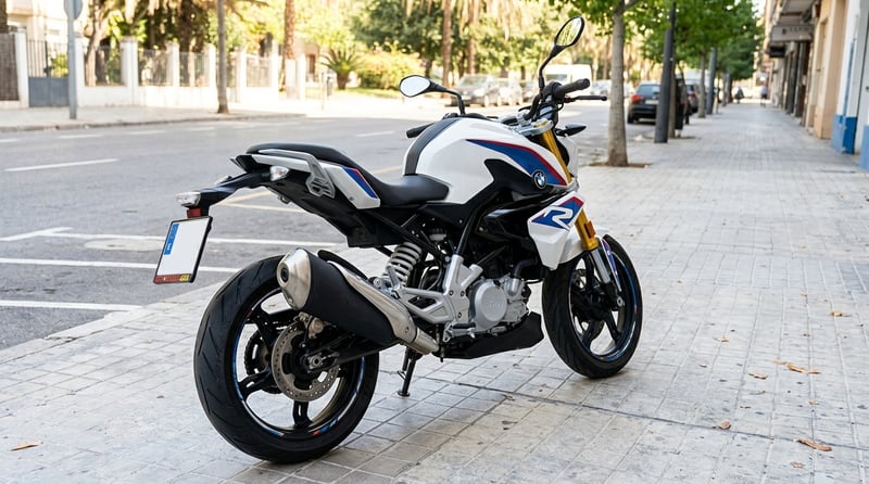 BMW G 310 R