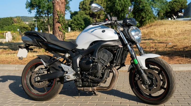 Yamaha FZ6 N S2