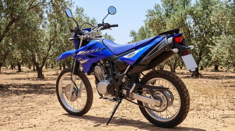 Yamaha WR 125 R