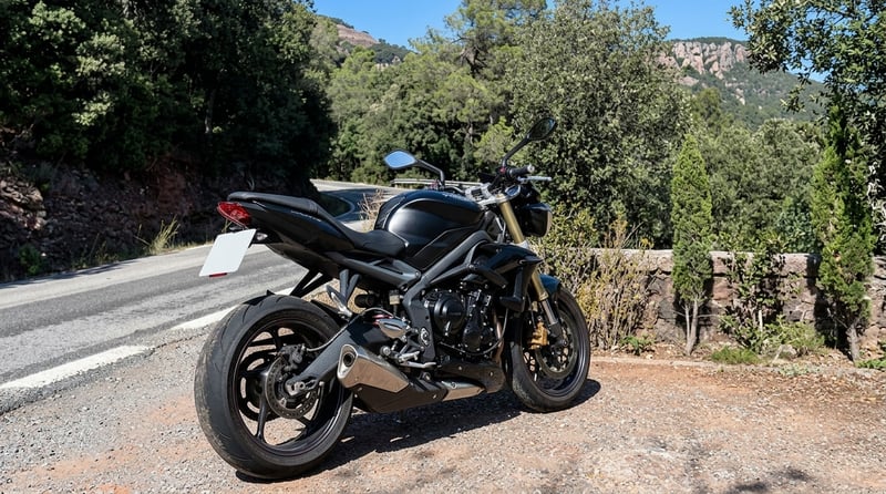 Triumph STREET TRIPLE 675 ABS