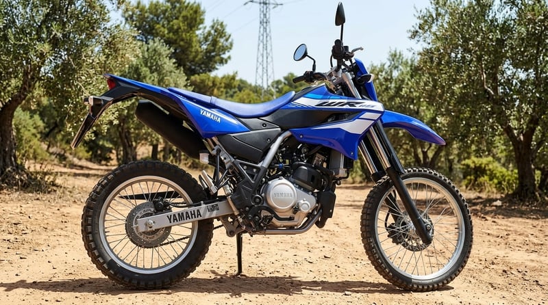 Yamaha WR 125 R