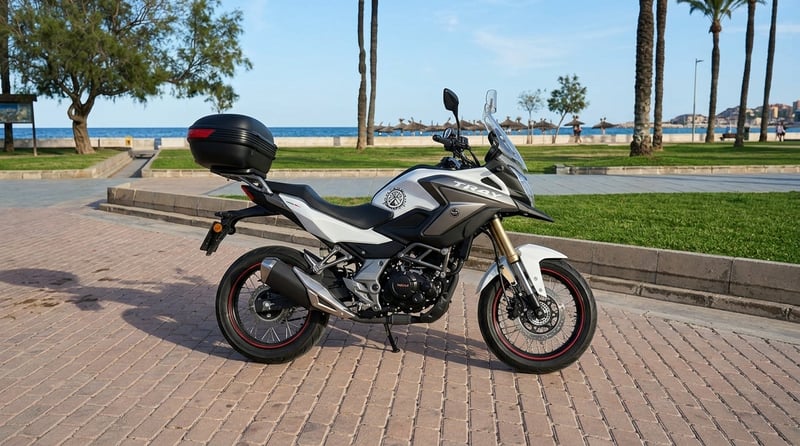 Motorhispania MH tray 125