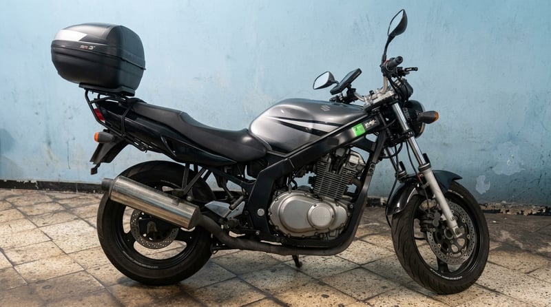 Suzuki GS 500 F