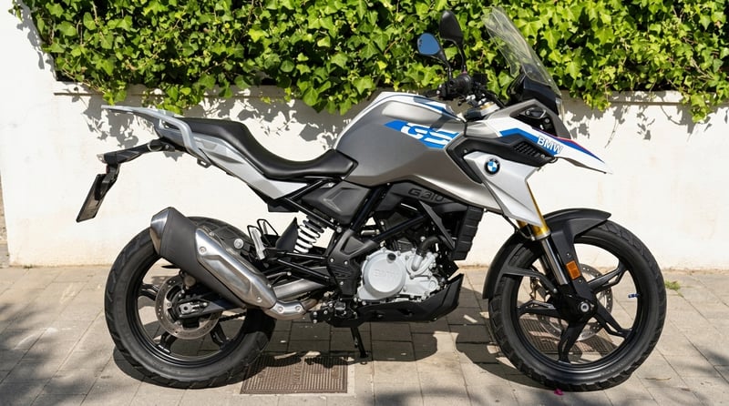 BMW G 310 GS