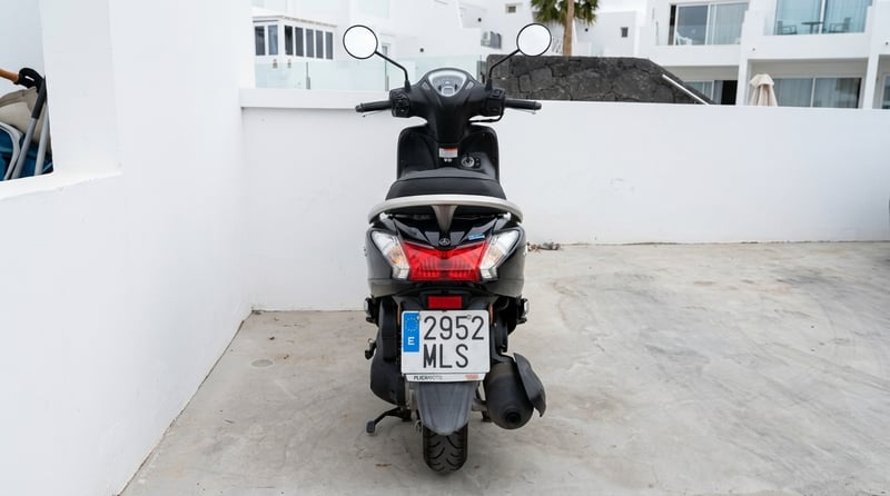 Yamaha DELIGHT 125