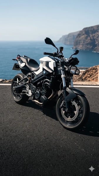 BMW F 800 R