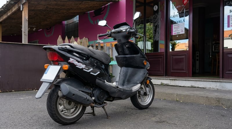 PGO T REX 125