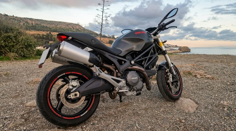 Ducati 696 MONSTER 