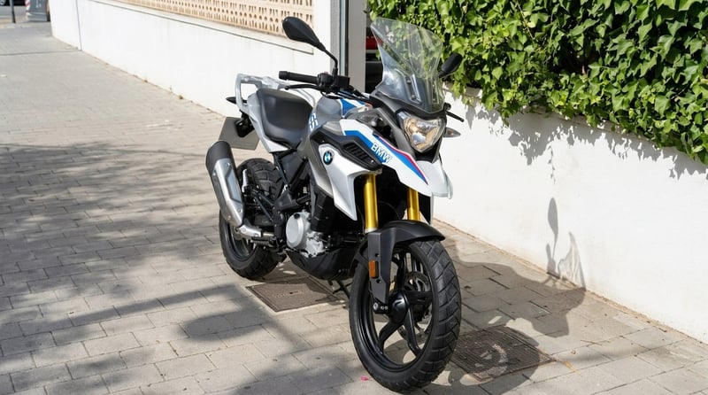 BMW G 310 GS