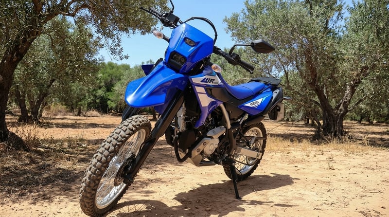 Yamaha WR 125 R
