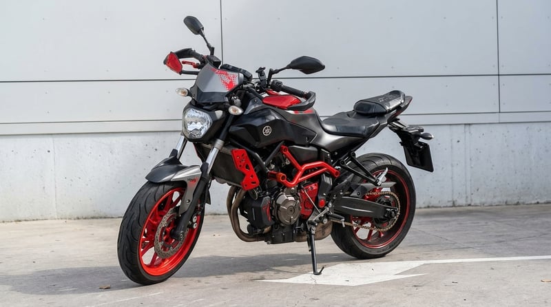 Yamaha MT 07 CAGE