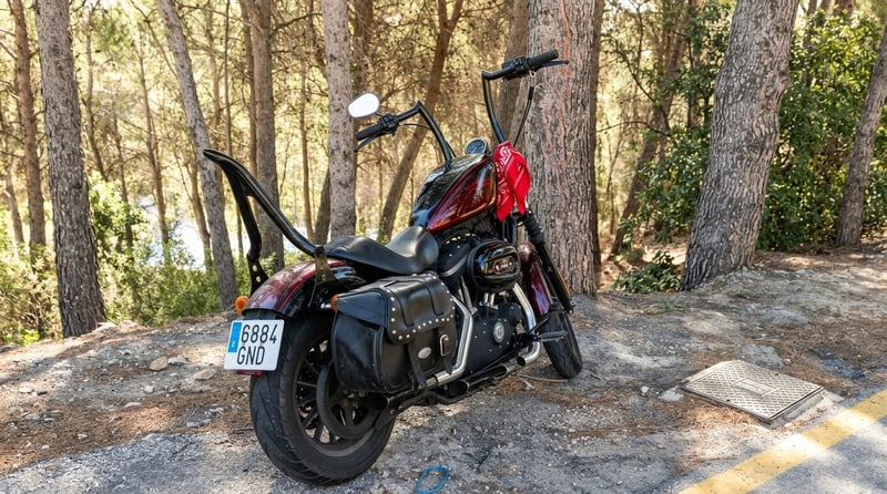 Harley Davidson SPORTSTER XL 883 N IRON 8