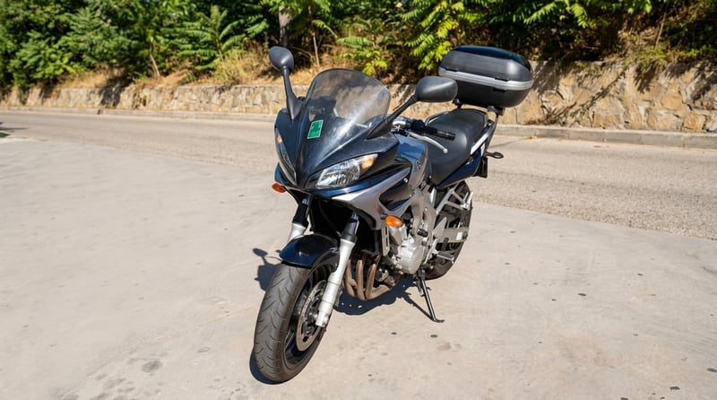 Yamaha FZ6 FAZER S2