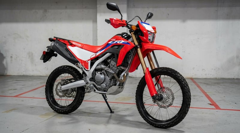 Honda CRF 300 RME SPECIAL