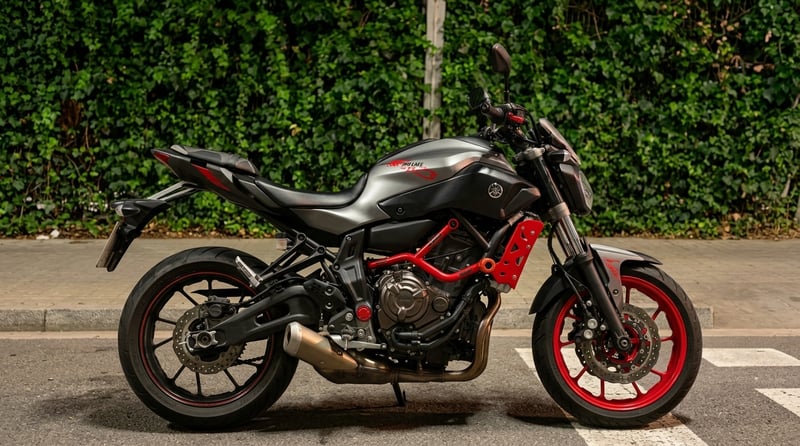 Yamaha MT 07 CAGE