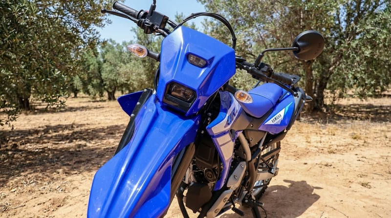 Yamaha WR 125 R