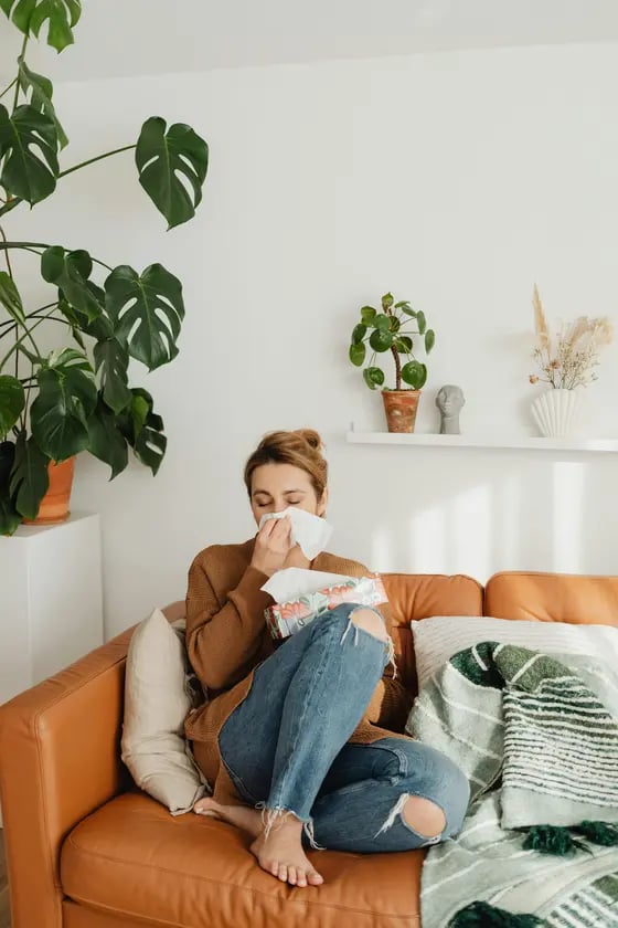 Woman sitting on a couch with tissues, appearing unwell with flu symptoms.