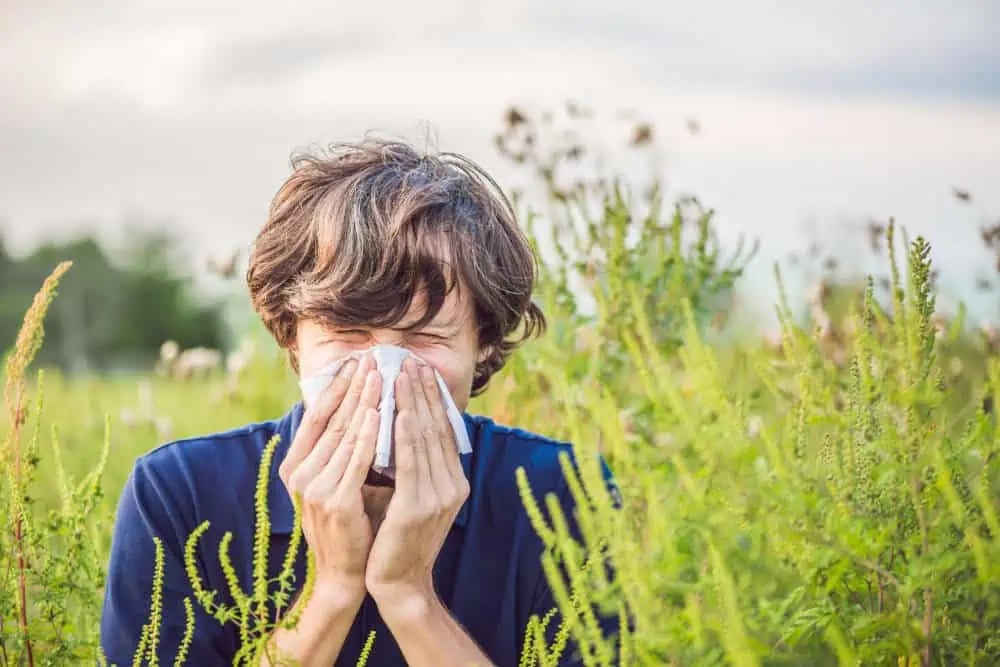 A man sneezing into a tissue while surrounded by tall grass and plants, depicting the struggle of hay fever and allergic reactions during pollen season.