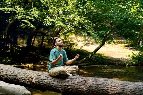 A man meditating on a tree log in a peaceful forest.