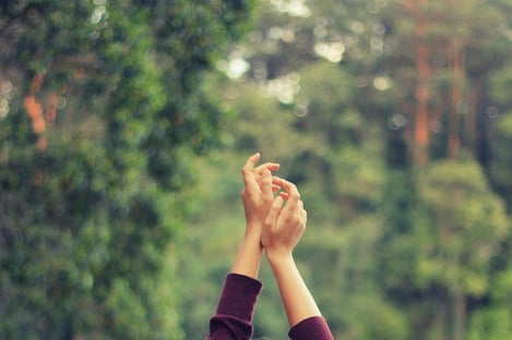 Un écosystème à préserver