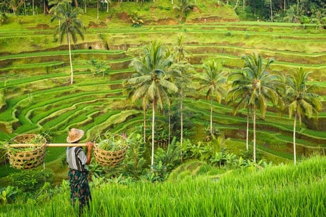 L'Indonésie, la destination idéale pour se ressourcer